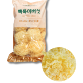 타이틀 이미지