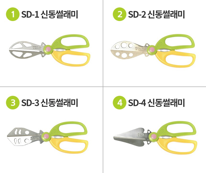 타이틀 이미지