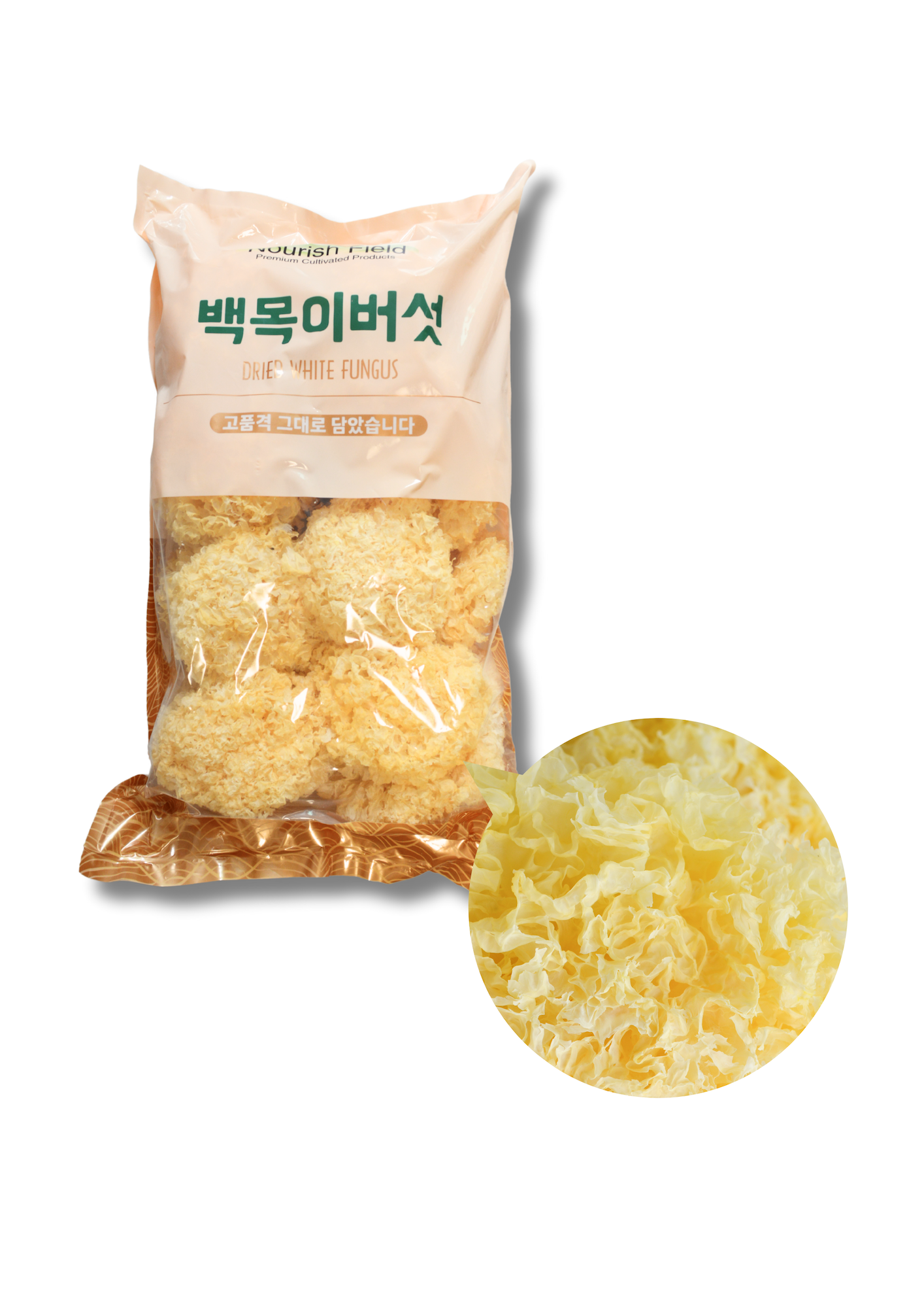 타이틀 이미지